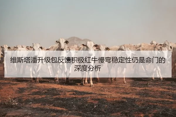 维斯塔潘升级包反馈积极红牛慢弯稳定性仍是命门的深度分析