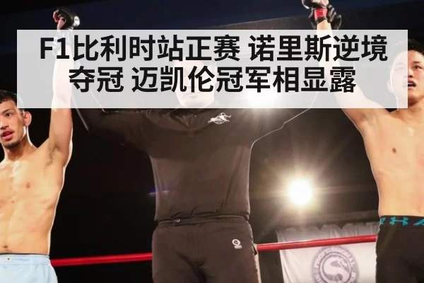 F1比利时站正赛 诺里斯逆境夺冠 迈凯伦冠军相显露